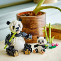 LEGO® Creator 3in1 Wild Animals: Panda Family Toy Set 31165