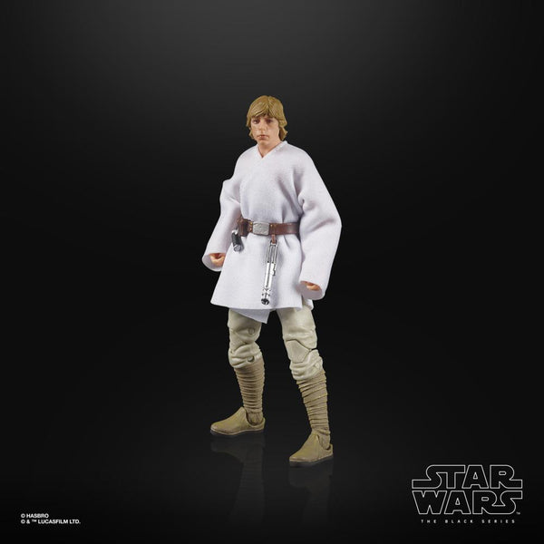 STAR WARS The Black Series Luke Skywalker 6-Inch Lucasfilm 50th Anniversary The Power of the Force Figure